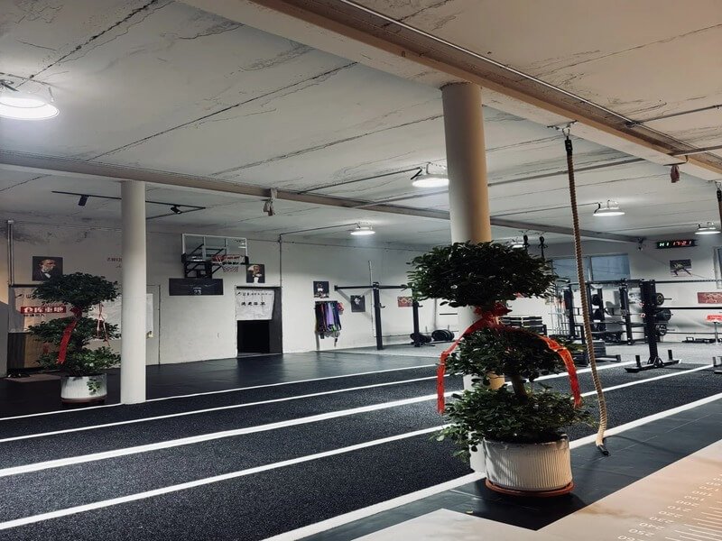 Gym turf material types and padding options